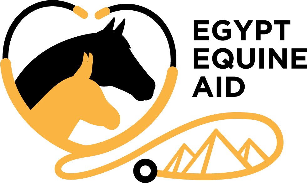 Egypt Equine Aid logo