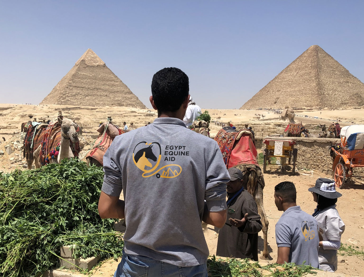 EEA triage at the pyramids