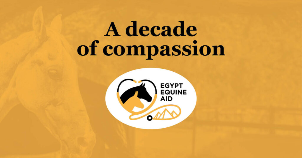 EEA decade of compassion