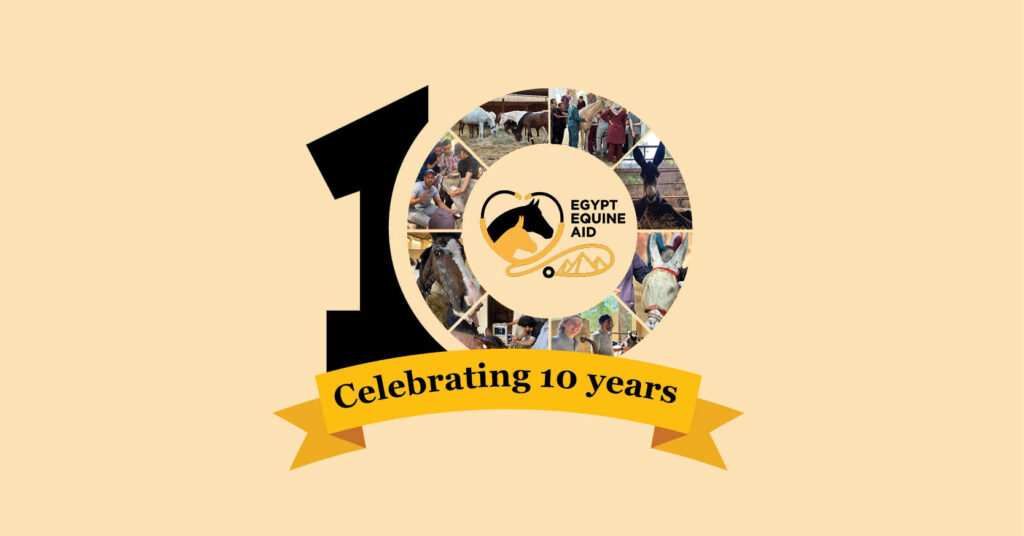 EEA celebrating 10 Years