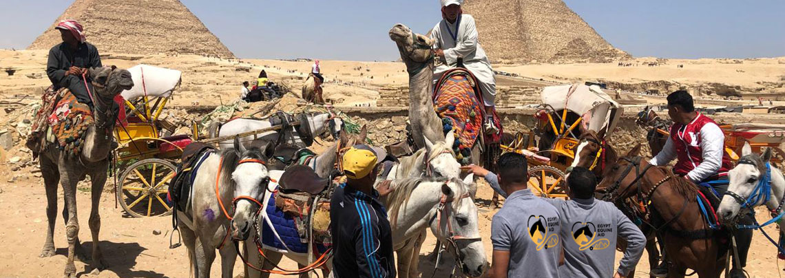 Emergency Triage at the Pyramids